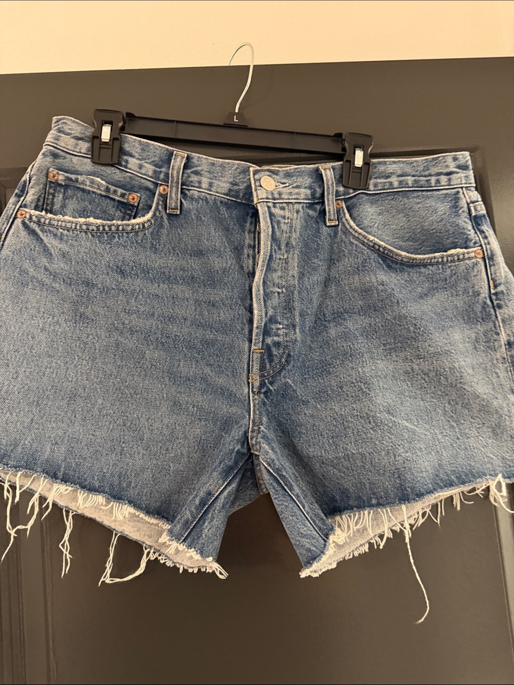 Agolde Parker Shorts